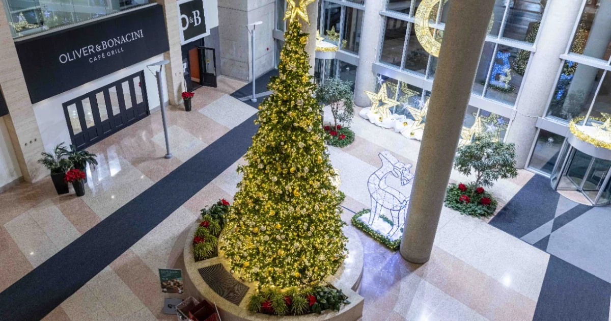 Large decorated Christmas tree in a shopping mall atrium surrounded by poinsettias, lights, and gold star ornaments.